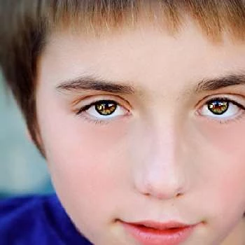 Gabriel Schreiber - Age, Bio, Birthdate, Family, Networth & More