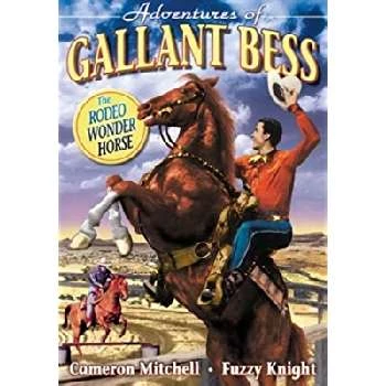 Gallant Bess - Age, Bio, Birthdate, Family, Networth & More