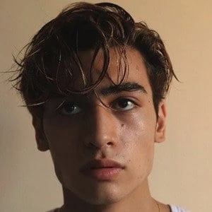 Marco Gallo Biography