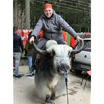 Gareth Hoyle - Age, Bio, Birthdate, Family, Networth & More