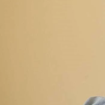 George Englund Biography