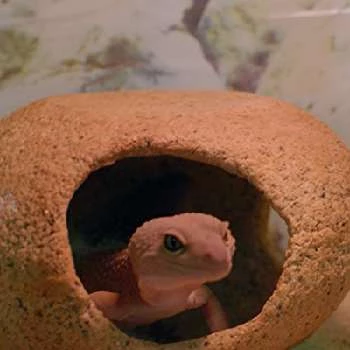 George - Age, Bio, Birthdate, Family, Networth & More