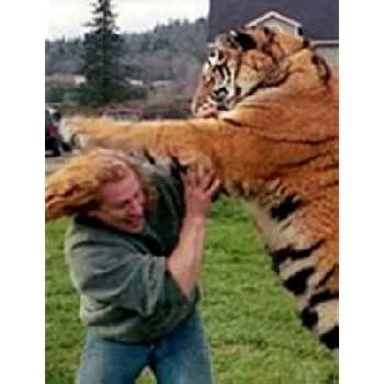 Gerry Therrien - Age, Bio, Birthdate, Family, Networth & More