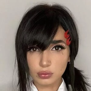 gia.gerardi - Biography, Birthday, Wiki, Family, Networth & More