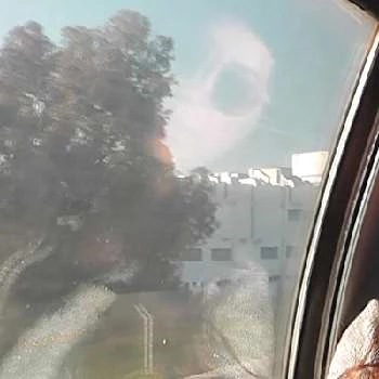 Gili Basson - Age, Bio, Birthdate, Family, Networth & More