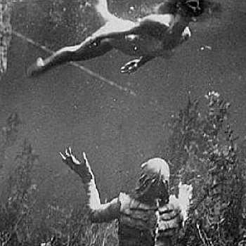 Ginger Stanley - Biography, Birthday, Family, Wki, Networth & More