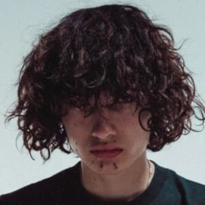 Glaive - Networth, Bio, Birthdate, Age, Family & More