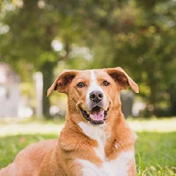 Good-Beasley - Age, Bio, Birthdate, Family, Networth & More