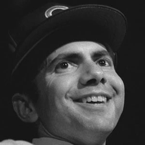 Steve Goodman Biography