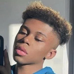 Jayllnn - Wiki, Family, Bio, Birthdate, Networth & More