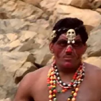 Gorilla - Age, Bio, Birthdate, Family, Networth & More