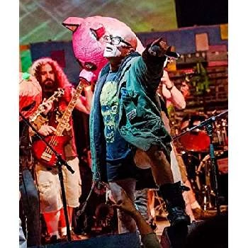 Green Jellÿ - Age, Bio, Birthdate, Family, Networth & More