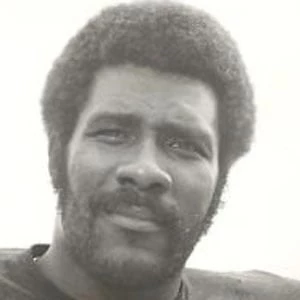 Joe Greene Biography