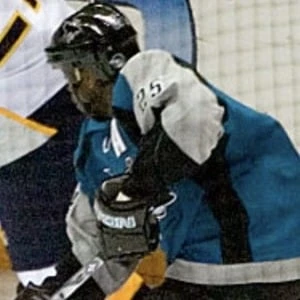 Mike Grier Biography