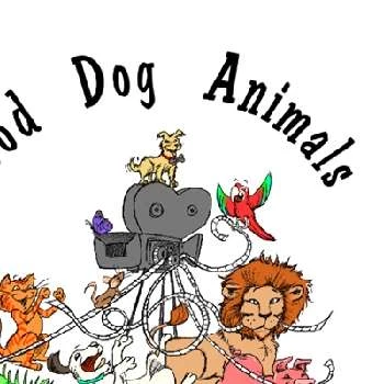 Guin Solomon - Age, Bio, Birthdate, Family, Networth & More