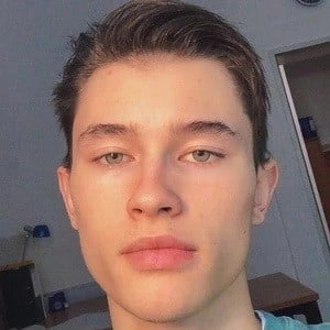 Noah Gusenbauer - Networth, Bio, Birthdate, Age, Family & More