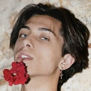 Milos Guzel - Birthplace, Bio, Wiki, Birthday, Family, Networth & More