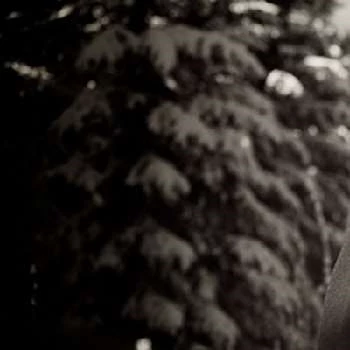 Hal Fowler - Age, Bio, Birthdate, Family, Networth & More