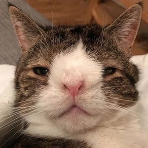 Monty Happiness Biography