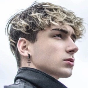 Har_fie - Age, Bio, Birthdate, Family, Networth & More