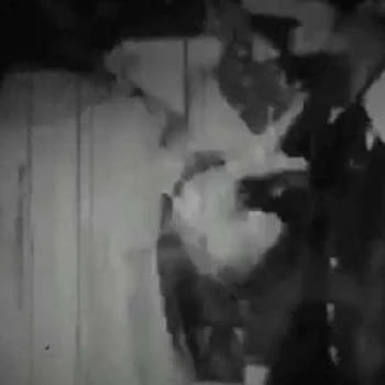 Harold Smith - Age, Height, Birthdate, Bio, Family, Networth & More