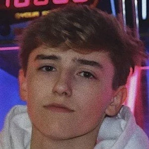 Matt Harp - Age, Bio, Birthdate, Family, Networth & More