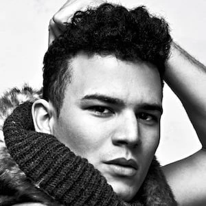 Christopher Haul - Height, Bio, Wiki, Family, Birthplace, Networth & More