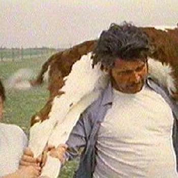 Hauris Lalancette - Age, Bio, Birthdate, Family, Networth & More