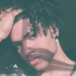 Mikey Hayes - Biography, Birthday, Wiki, Family, Networth & More