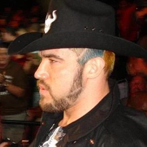 Heath Herring Biography
