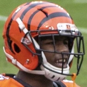 Tee Higgins Biography