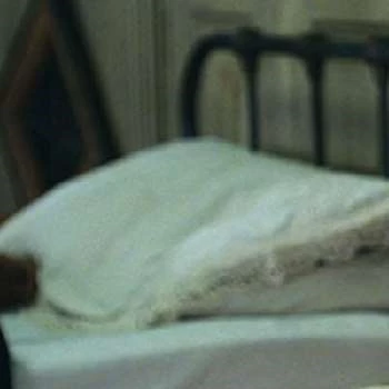 Holly Gibbs - Bio, Networth, Family, Age, Birthdate & More