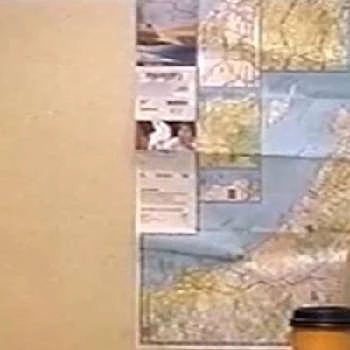 Holly Young - Age, Bio, Birthdate, Family, Networth & More