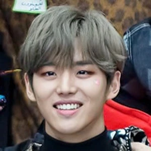 Yang Hong-seok - Income, Birthday, Family, Bio, Networth & More