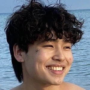 Vlad Hoshin Biography