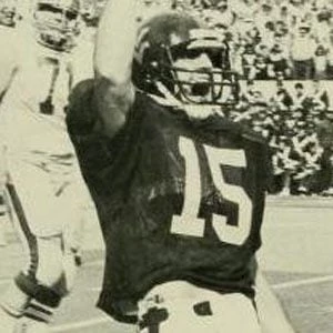 Jeff Hostetler - Age, Bio, Birthdate, Family, Networth & More