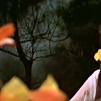 Hsueh-Erh Wen - Height, Bio, Wiki, Family, Birthplace, Networth & More