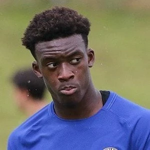 Callum Hudson-Odoi Biography