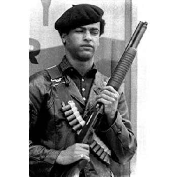 Huey P. Newton Biography