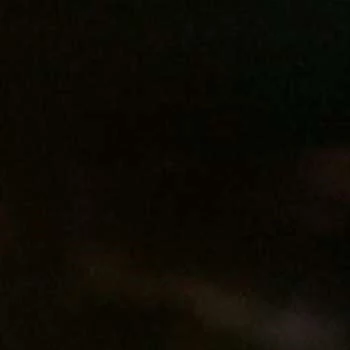 Hui-Ling Liu - Income, Birthday, Family, Bio, Networth & More