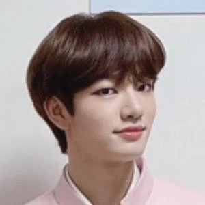 Huijun - Wiki, Family, Bio, Birthdate, Networth & More