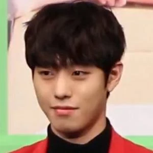 Ahn Hyo-seop Biography