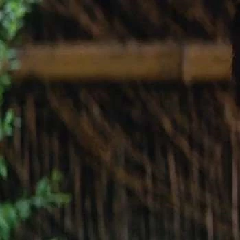 Ikuko Môri - Bio, Networth, Family, Age, Birthdate & More