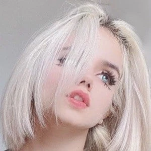 indiskovar - Biography, Birthday, Wiki, Family, Networth & More