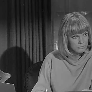 Indus Arthur - Biography, Birthday, Wiki, Family, Networth & More