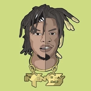 InteNsifyCharts - Family, Bio, Birthday, Family, Income & More