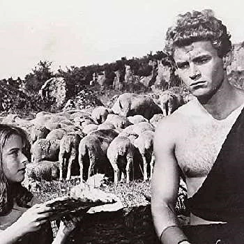 Ivica Pajer - Adderess, Bio, Birthdate, Family, Wiki & More