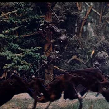 Jack Kosslyn - Biography, Birthday, Wiki, Family, Networth & More