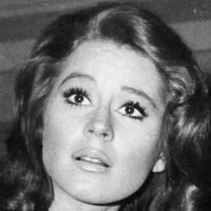 Sherry Jackson Biography