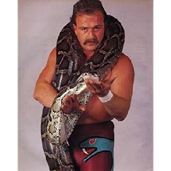 Jake Roberts Biography